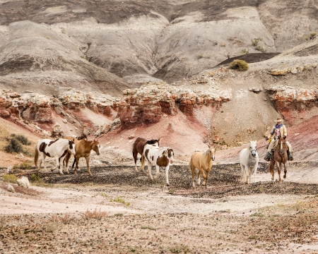 Round Two by artist Claire Porter